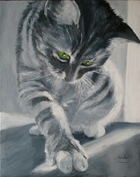 /album/fotogaleria/gato-1-jpg/